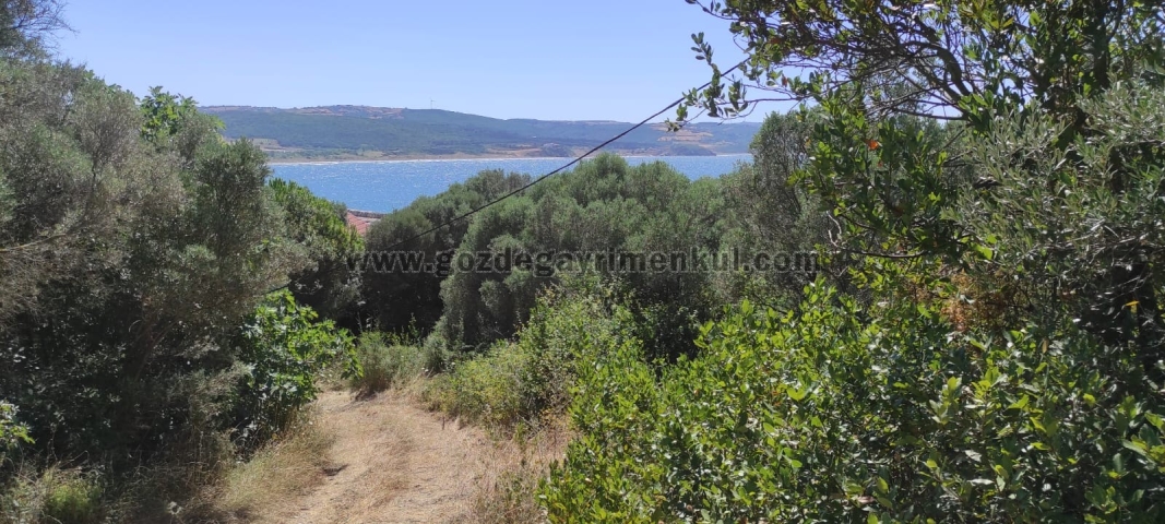 Bursa MUDANYA Satılık Arsa - Foto: 11