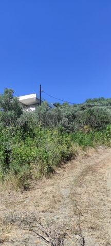 Bursa MUDANYA Satılık Arsa - Foto: 13