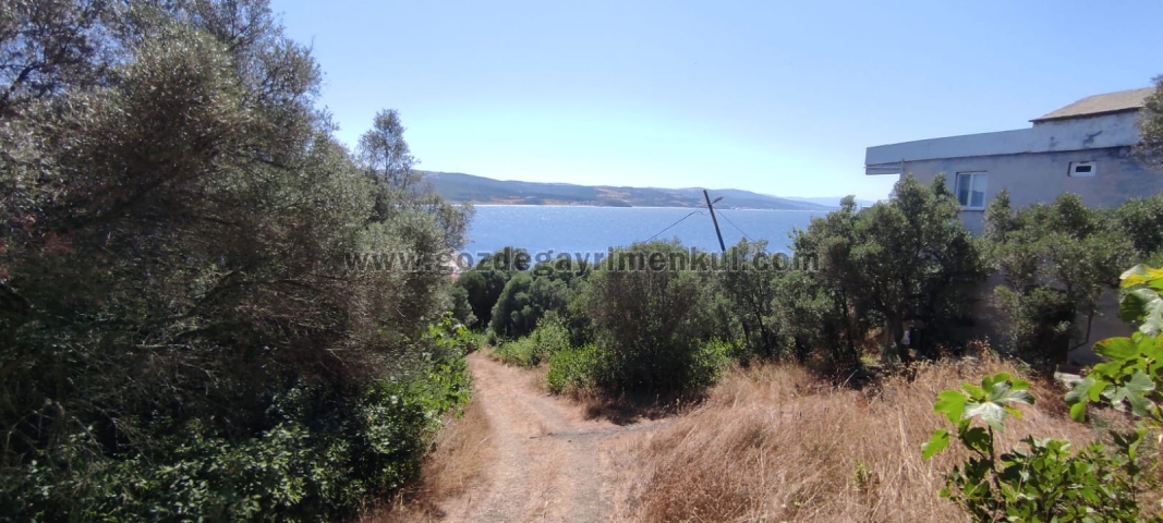 Bursa MUDANYA Satılık Arsa - Foto: 9