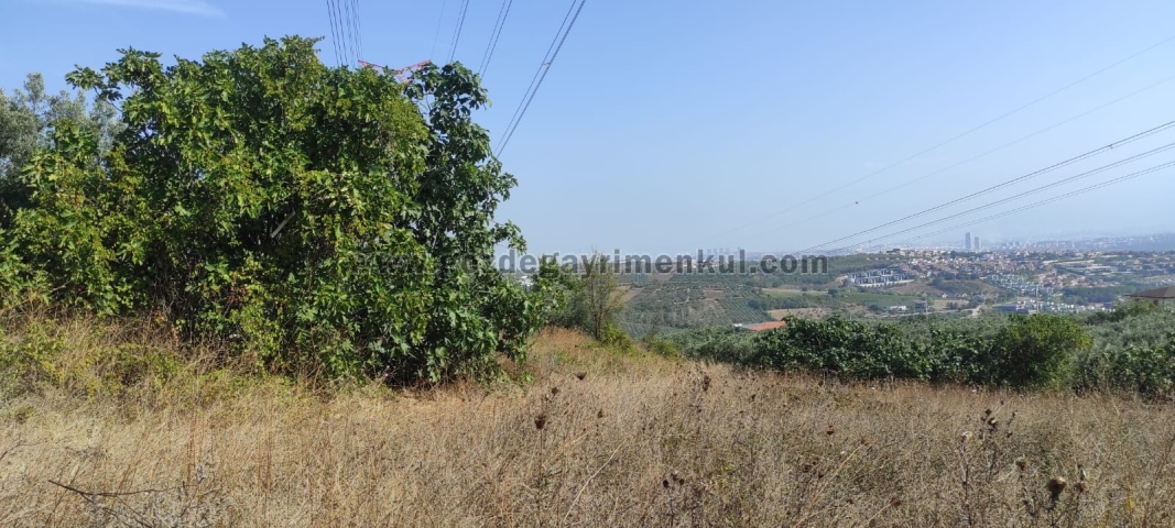 Bursa MUDANYA Satılık Arsa - Foto: 11