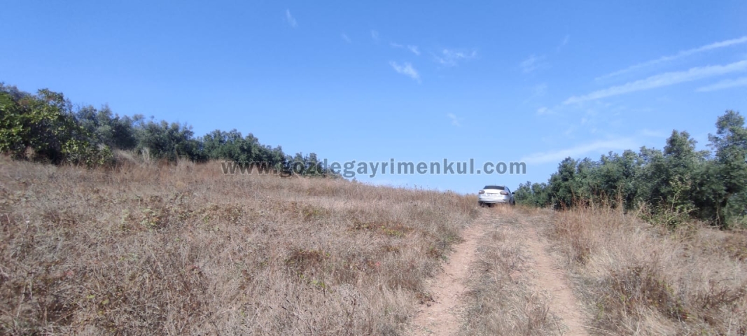 Bursa MUDANYA Satılık Arsa - Foto: 13