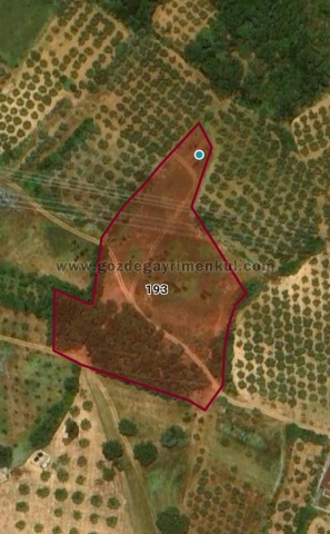 Bursa MUDANYA Satılık Arsa - Foto: 3