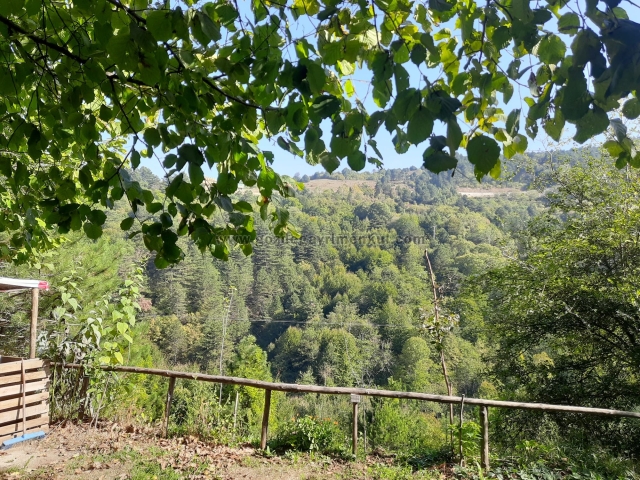 Bursa Osmangazi Satılık Arsa - Foto: 4