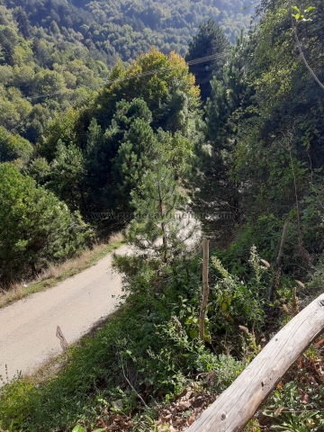 Bursa Osmangazi Satılık Arsa - Foto: 8